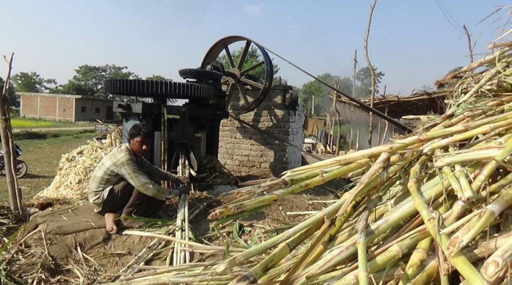 वर्षदिन वित्यो, उखु किसानले ३२ करोड अनुदान पाएनन्