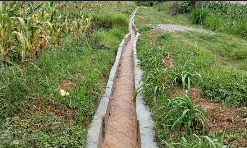 इलाममा ३४ करोड ८७ लाखमा बने ५९ कुलो, सिँचाइ सुविधा पाएपछि दङ्ग किसान