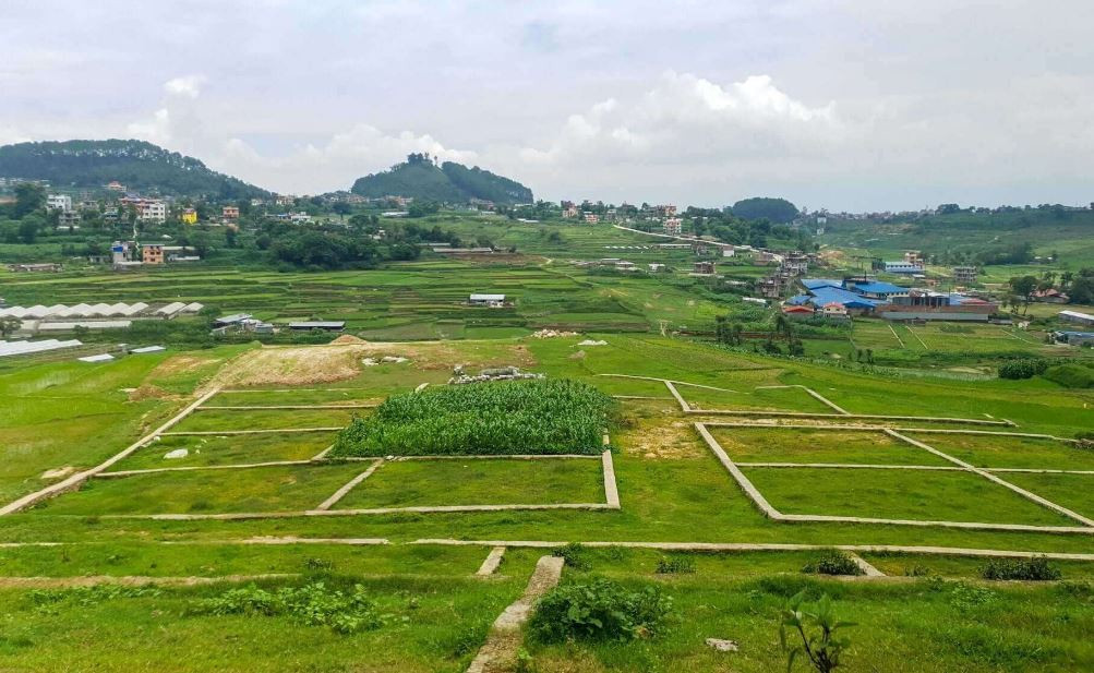 कर्णाली प्रदेशमा ३०.५९ प्रतिशतले घट्यो घरजग्गाको कारोबार, राजस्वमा पनि धक्का