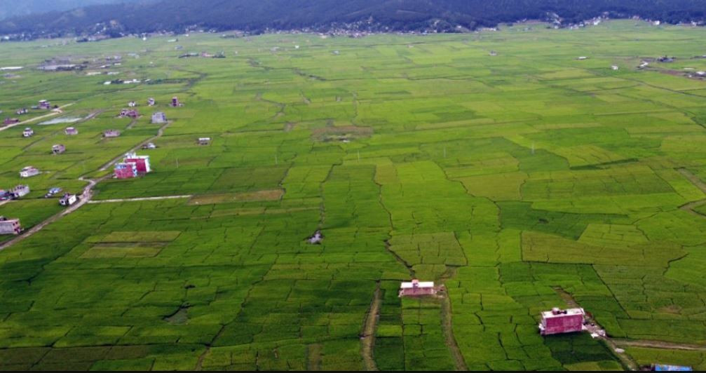 फागुनमा घरजग्गा कारोबार स्थिर, तीन अर्ब ५९ करोड राजस्व संकलन