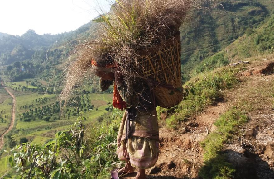 महिलाको औसत आयु करिब ९ बर्षले बढ्यो, कुनको प्रदेशका नागरिक कति बाच्छन् ?