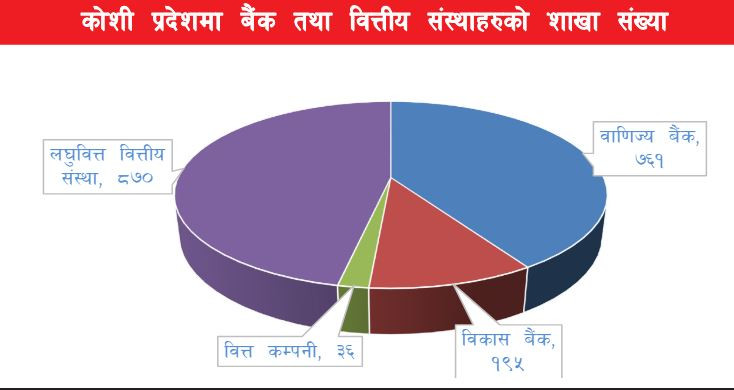 कोशी प्रदेशमा बैंक तथा वित्तीय संस्थाको शाखा संख्या १ हजार ८ सय ३२ पुग्यो, कुन जिल्लामा कति ?