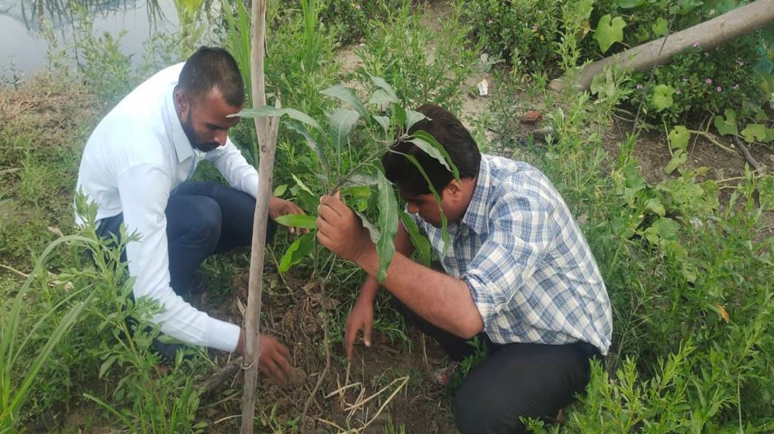 समृद्धि फाइनान्सको औरही  शाखाबाट बृक्षारोपण