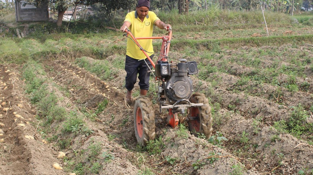 आधुनिक यन्त्रले किसानलाई आलु खेती गर्न सहज